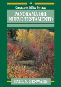 Panorama del Nuevo Testamento