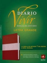 Biblia de estudio NTV diario vivir letra grande vino tinto/rosa índice