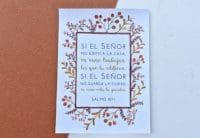 Imán Pikuti varios modelos