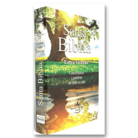 Biblia RVR60 económica mediana letra grande
