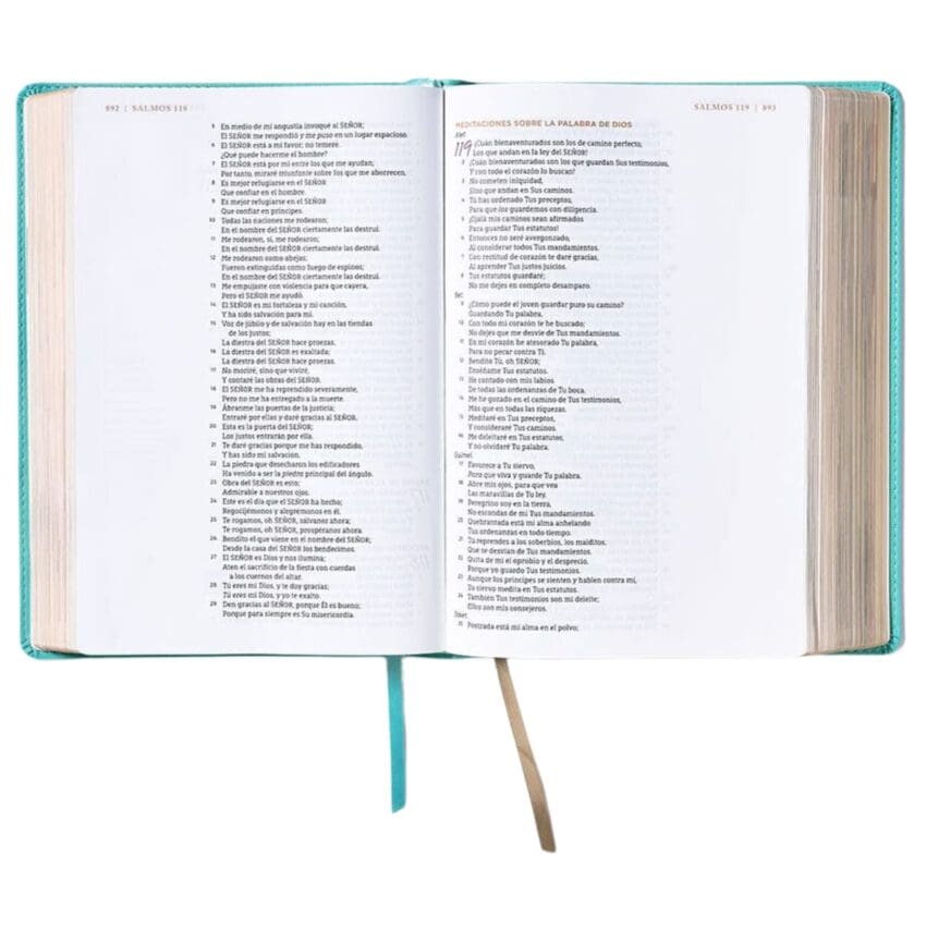 Biblia NBLA Ama a Dios grandemente turquesa IP TG - Imagen 3