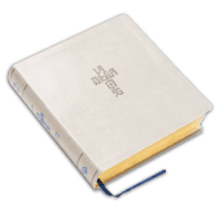 Biblia RV60 QR Principios para vivir arena