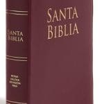 Biblia RV1960 Letra Grande Manual Vinilo Vino