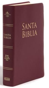 Biblia RV1960 Letra Grande Manual Vinilo Vino