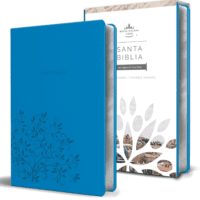 Biblia Reina Valera 1960 letra grande. Símil piel azul