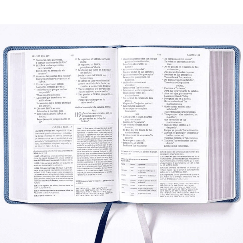 Biblia de Estudio Gris NBLA - Imagen 2