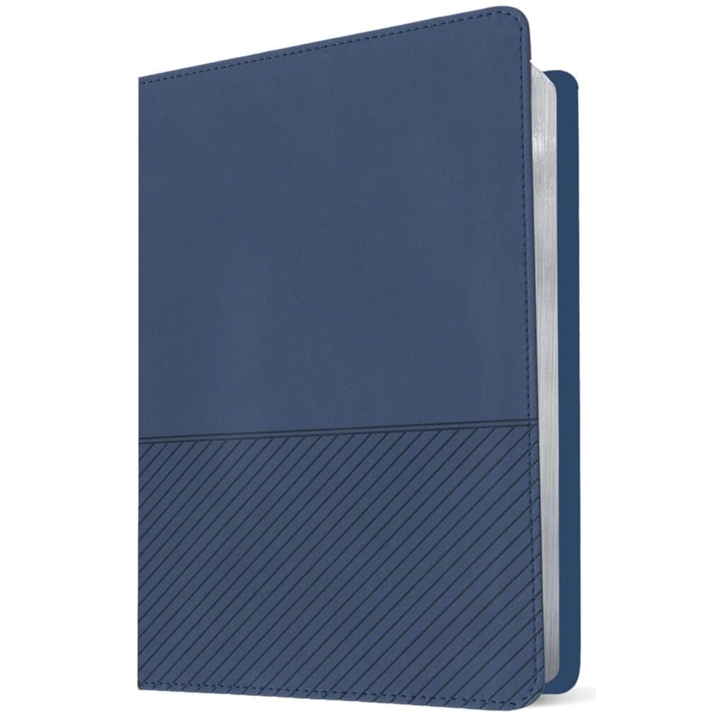 Biblia con Filament para jóvenes NTV azul