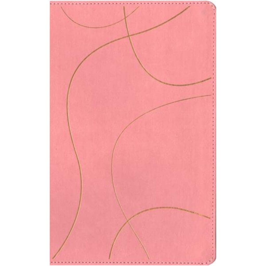 Biblia con Filament para jóvenes NTV rosa