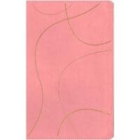 Biblia con Filament para jóvenes NTV rosa