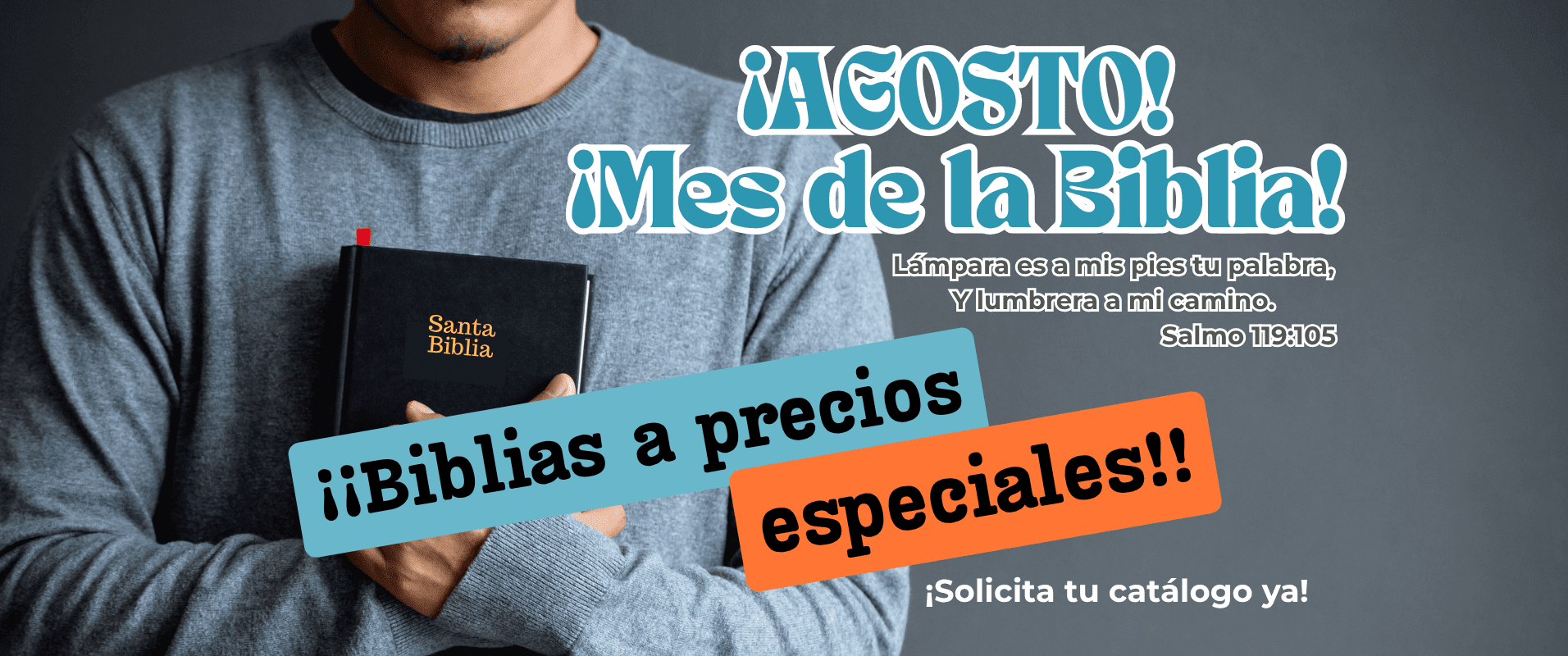 BENNER BERACA WEB (1912 x 800 px) (1)